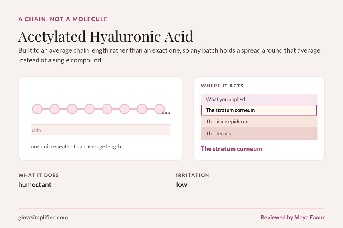 Acetylated Hyaluronic Acid: A chain, not a molecule. Built to an average chain length rather than an exact one, so any batch holds a spread around that average instead of a single compound.