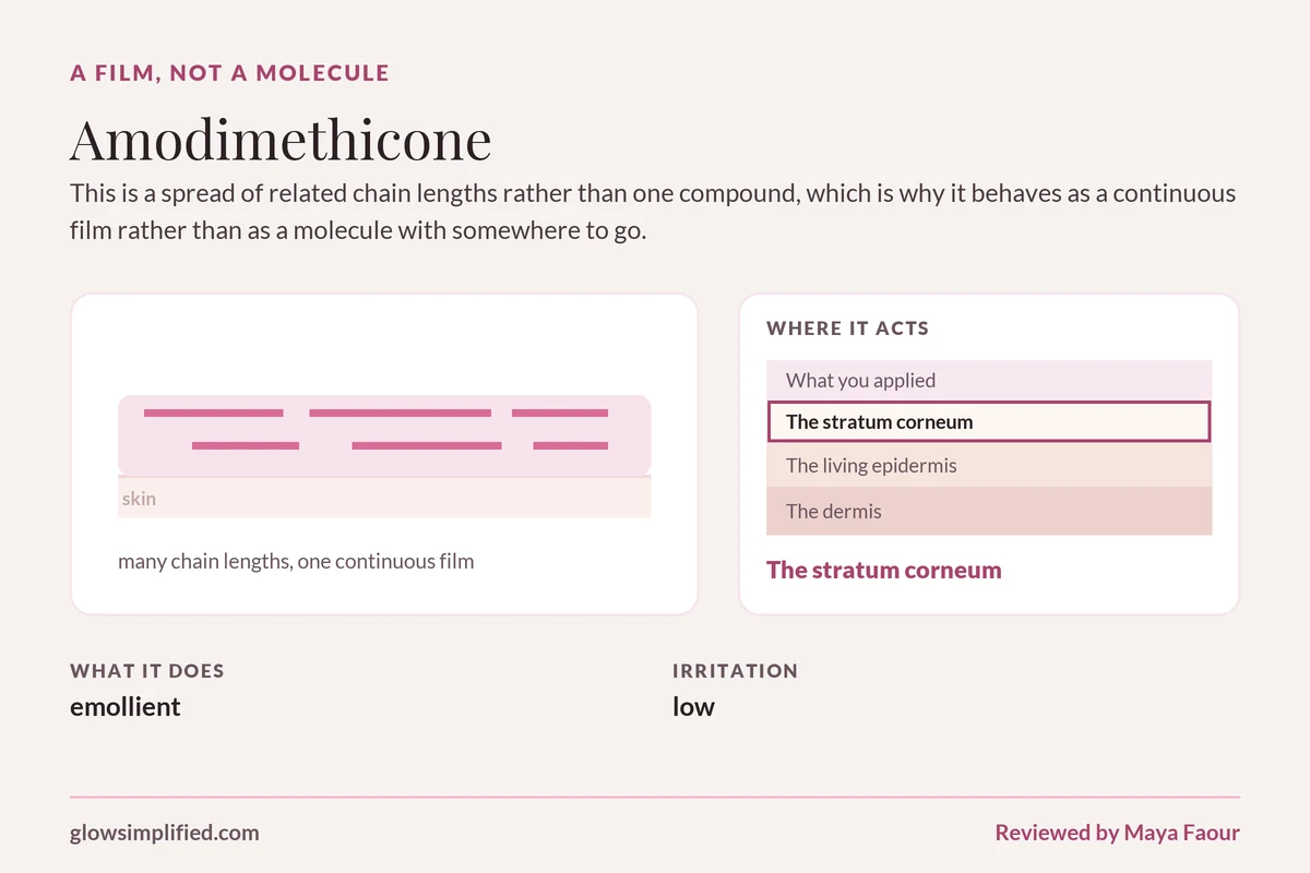 Amodimethicone: A film, not a molecule. This is a spread of related chain lengths rather than one compound, which is why it behaves as a continuous film rather than as a molecule with somewhere to go.