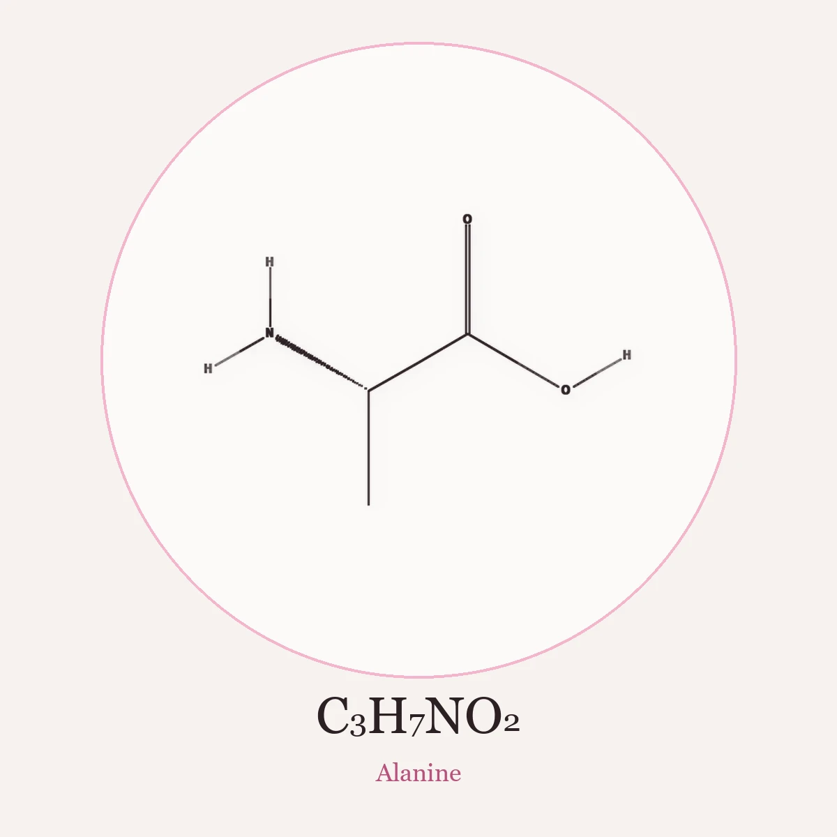 Chemical structure of Alanine