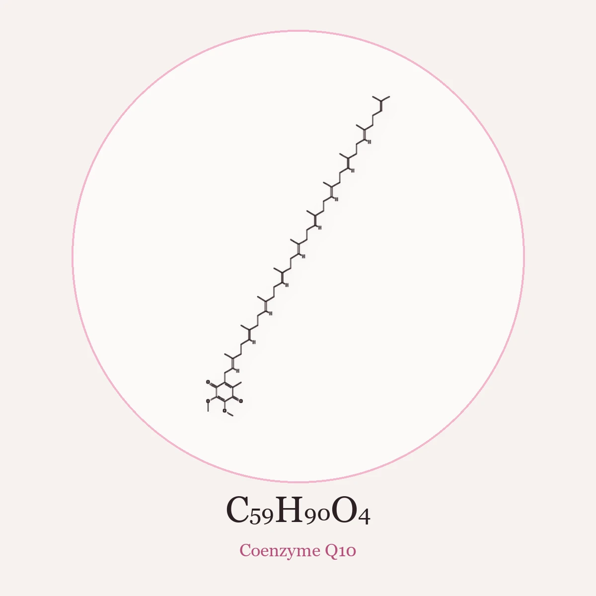 Chemical structure of Coenzyme Q10 (Ubiquinone)