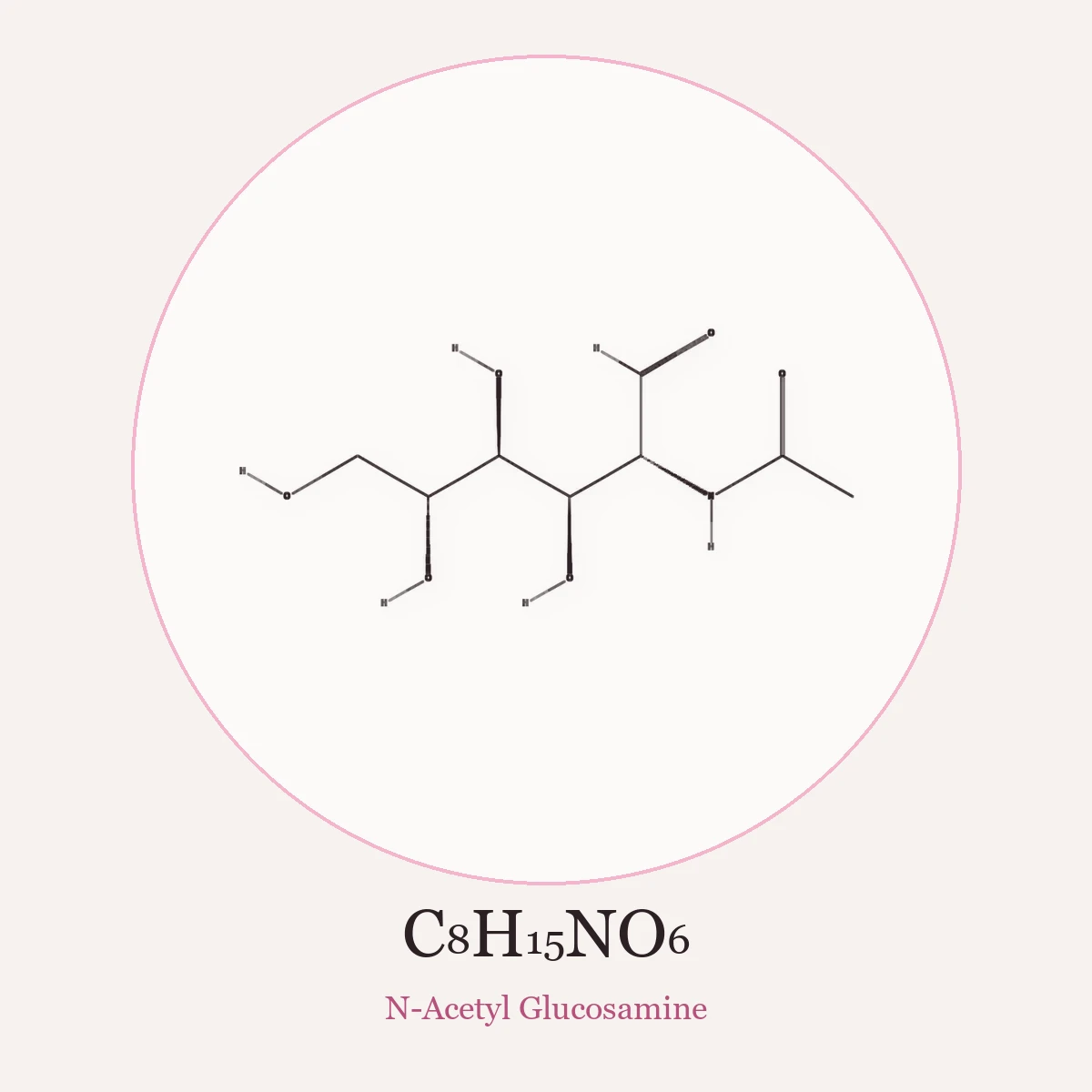 Chemical structure of N-Acetyl Glucosamine (N-Acetyl Glucosamine)