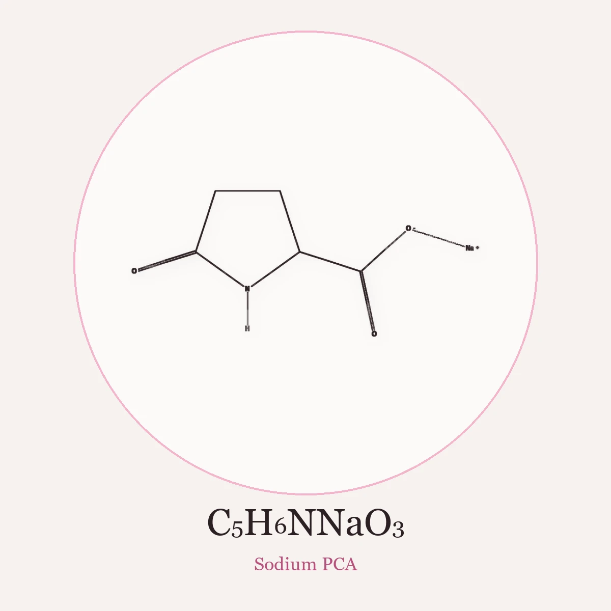 Chemical structure of Sodium PCA (Sodium PCA)