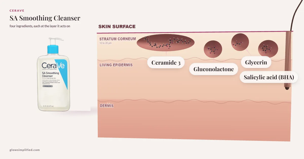 CeraVe SA Smoothing Cleanser: Ceramide 3, Gluconolactone, Glycerin, Salicylic acid (BHA) drawn in a cross-section of skin, each at the layer it acts on