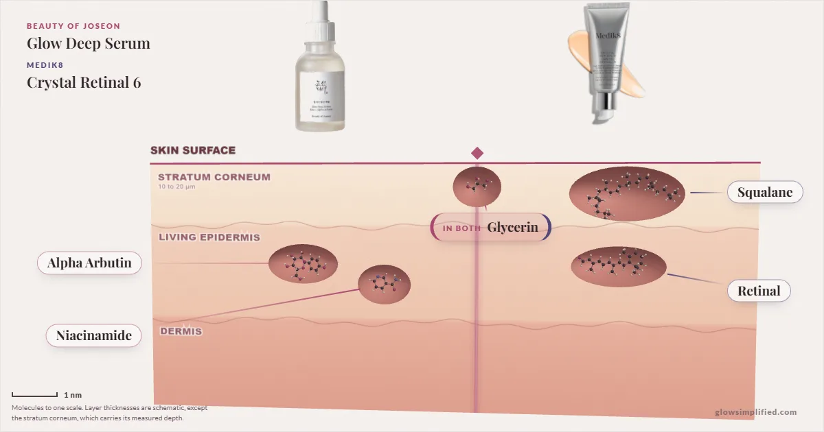 Beauty of Joseon Glow Deep Serum and Medik8 Crystal Retinal 6: their molecules drawn in one cross-section of skin, shared ingredients on the seam