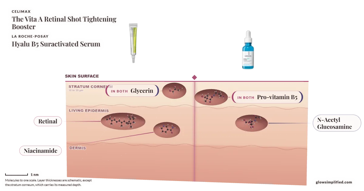 Celimax The Vita A Retinal Shot Tightening Booster and La Roche-Posay Hyalu B5 Suractivated Serum: their molecules drawn in one cross-section of skin, shared ingredients on the seam