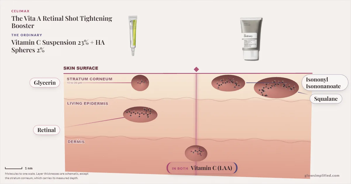 Celimax The Vita A Retinal Shot Tightening Booster and The Ordinary Vitamin C Suspension 23% + HA Spheres 2%: their molecules drawn in one cross-section of skin, shared ingredients on the seam