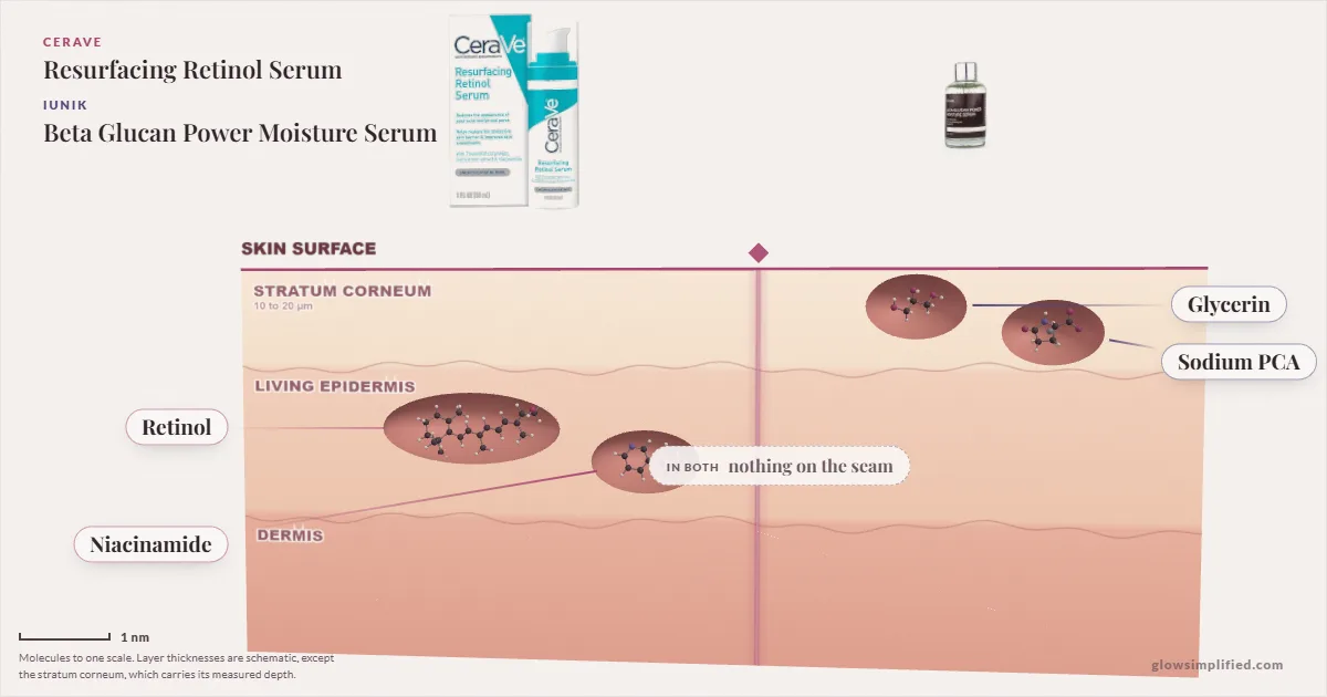 CeraVe Resurfacing Retinol Serum and iUNIK Beta Glucan Power Moisture Serum: their molecules drawn in one cross-section of skin, shared ingredients on the seam