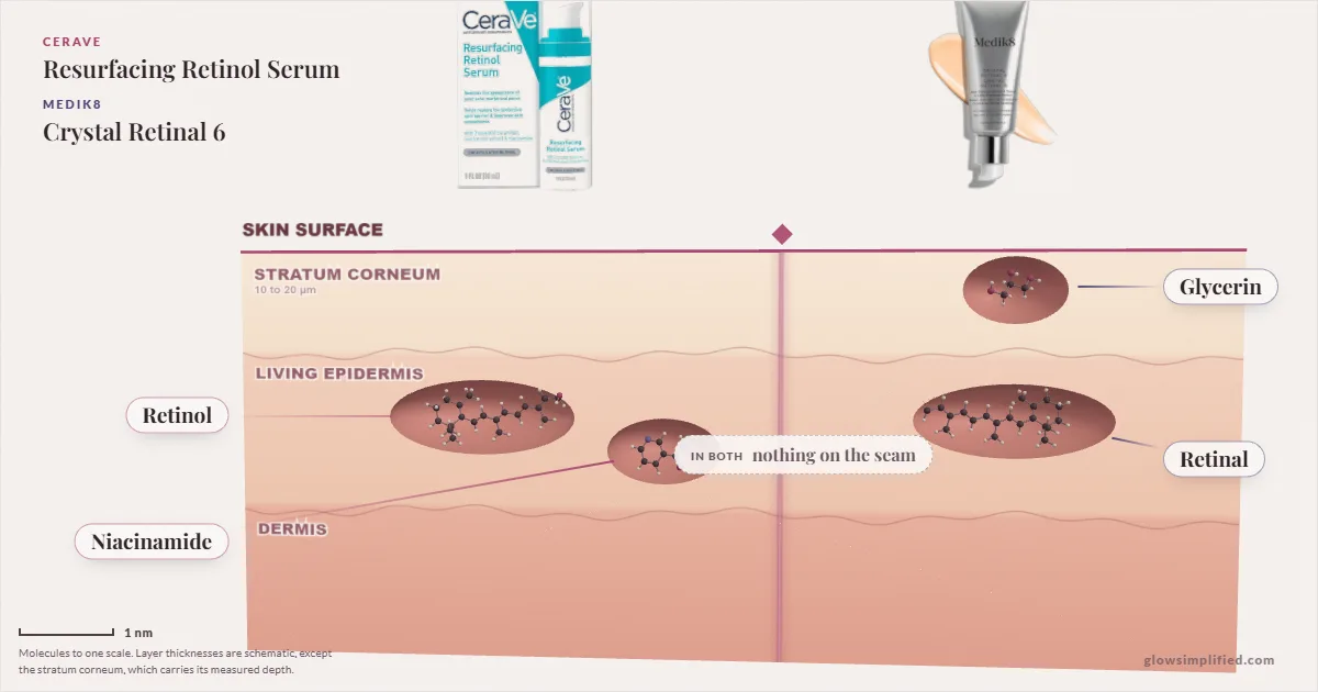 CeraVe Resurfacing Retinol Serum and Medik8 Crystal Retinal 6: their molecules drawn in one cross-section of skin, shared ingredients on the seam