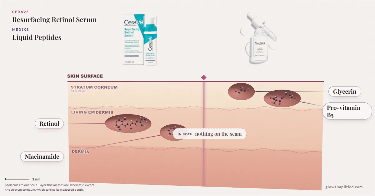 CeraVe Resurfacing Retinol Serum and Medik8 Liquid Peptides: their molecules drawn in one cross-section of skin, shared ingredients on the seam