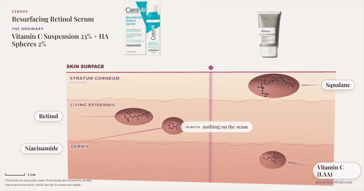 CeraVe Resurfacing Retinol Serum and The Ordinary Vitamin C Suspension 23% + HA Spheres 2%: their molecules drawn in one cross-section of skin, shared ingredients on the seam