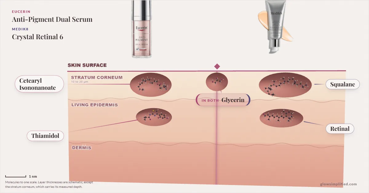 Eucerin Anti-Pigment Dual Serum and Medik8 Crystal Retinal 6: their molecules drawn in one cross-section of skin, shared ingredients on the seam