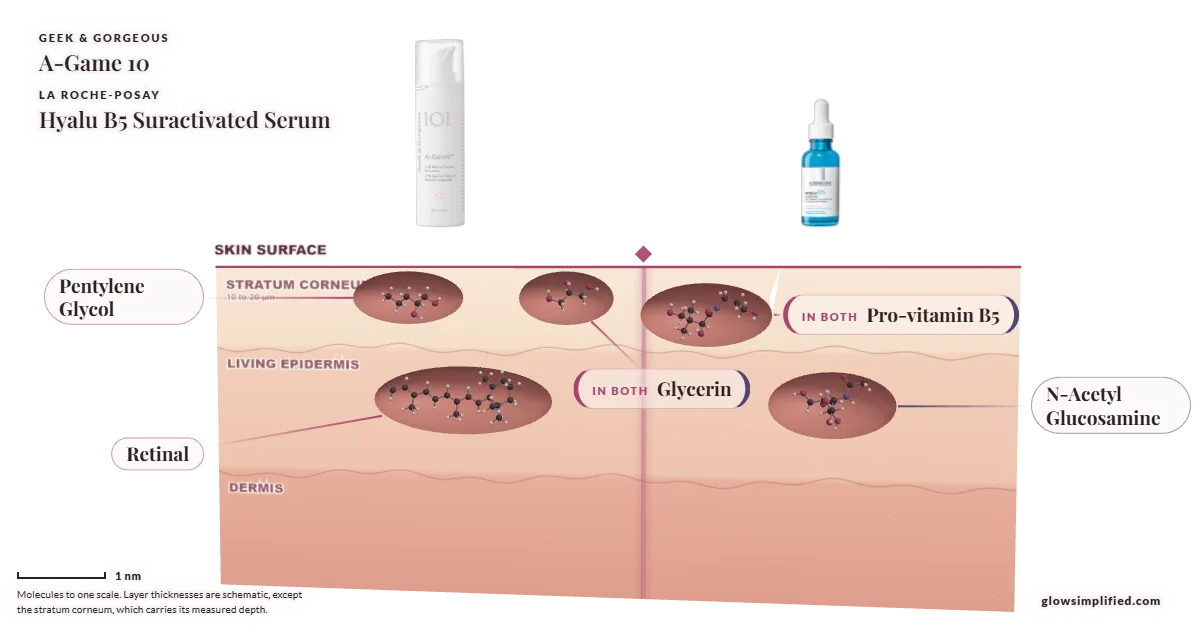 Geek & Gorgeous A-Game 10 and La Roche-Posay Hyalu B5 Suractivated Serum: their molecules drawn in one cross-section of skin, shared ingredients on the seam