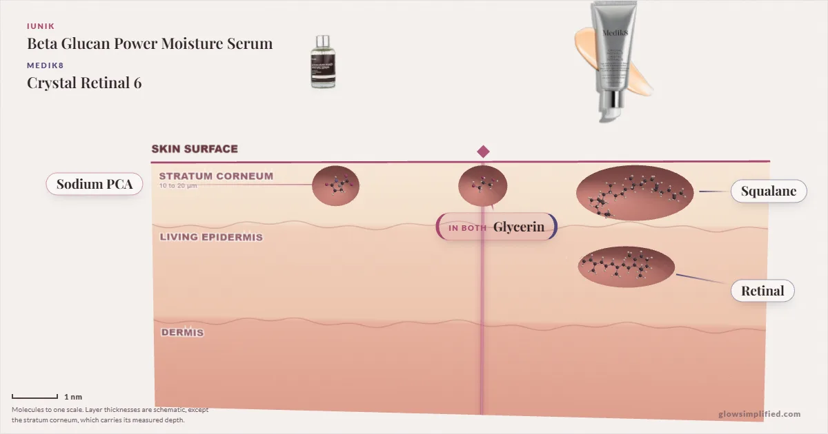 iUNIK Beta Glucan Power Moisture Serum and Medik8 Crystal Retinal 6: their molecules drawn in one cross-section of skin, shared ingredients on the seam