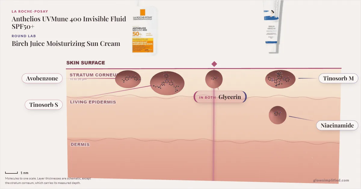 La Roche-Posay Anthelios UVMune 400 Invisible Fluid SPF50+ and Round Lab Birch Juice Moisturizing Sun Cream: their molecules drawn in one cross-section of skin, shared ingredients on the seam