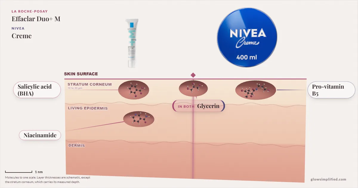 La Roche-Posay Effaclar Duo+ M and NIVEA Creme: their molecules drawn in one cross-section of skin, shared ingredients on the seam