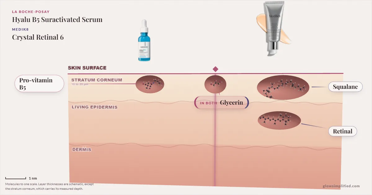 La Roche-Posay Hyalu B5 Suractivated Serum and Medik8 Crystal Retinal 6: their molecules drawn in one cross-section of skin, shared ingredients on the seam
