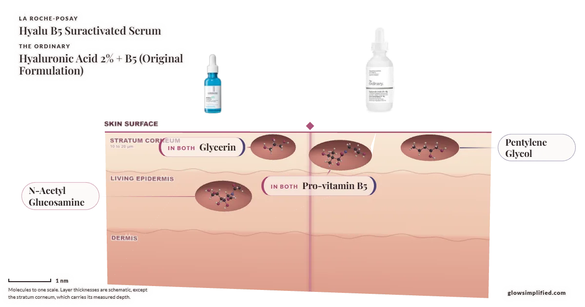 La Roche-Posay Hyalu B5 Suractivated Serum and The Ordinary Hyaluronic Acid 2% + B5 (Original Formulation): their molecules drawn in one cross-section of skin, shared ingredients on the seam