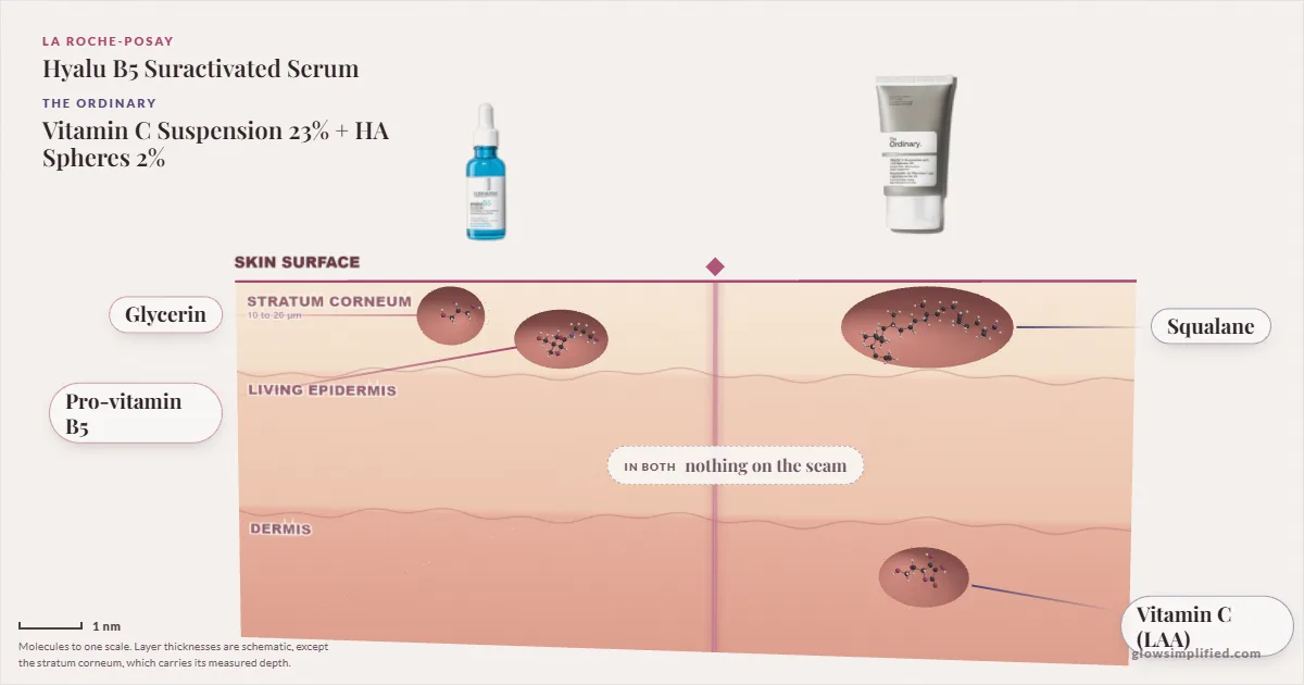 La Roche-Posay Hyalu B5 Suractivated Serum and The Ordinary Vitamin C Suspension 23% + HA Spheres 2%: their molecules drawn in one cross-section of skin, shared ingredients on the seam