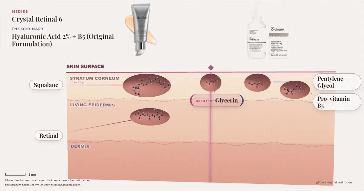 Medik8 Crystal Retinal 6 and The Ordinary Hyaluronic Acid 2% + B5 (Original Formulation): their molecules drawn in one cross-section of skin, shared ingredients on the seam