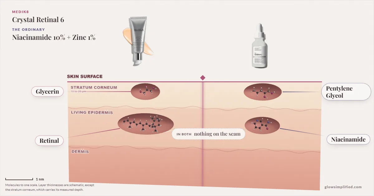 Medik8 Crystal Retinal 6 and The Ordinary Niacinamide 10% + Zinc 1%: their molecules drawn in one cross-section of skin, shared ingredients on the seam