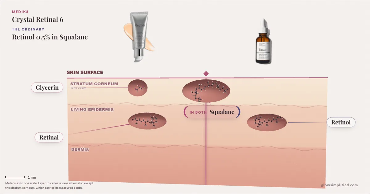 Medik8 Crystal Retinal 6 and The Ordinary Retinol 0.5% in Squalane: their molecules drawn in one cross-section of skin, shared ingredients on the seam