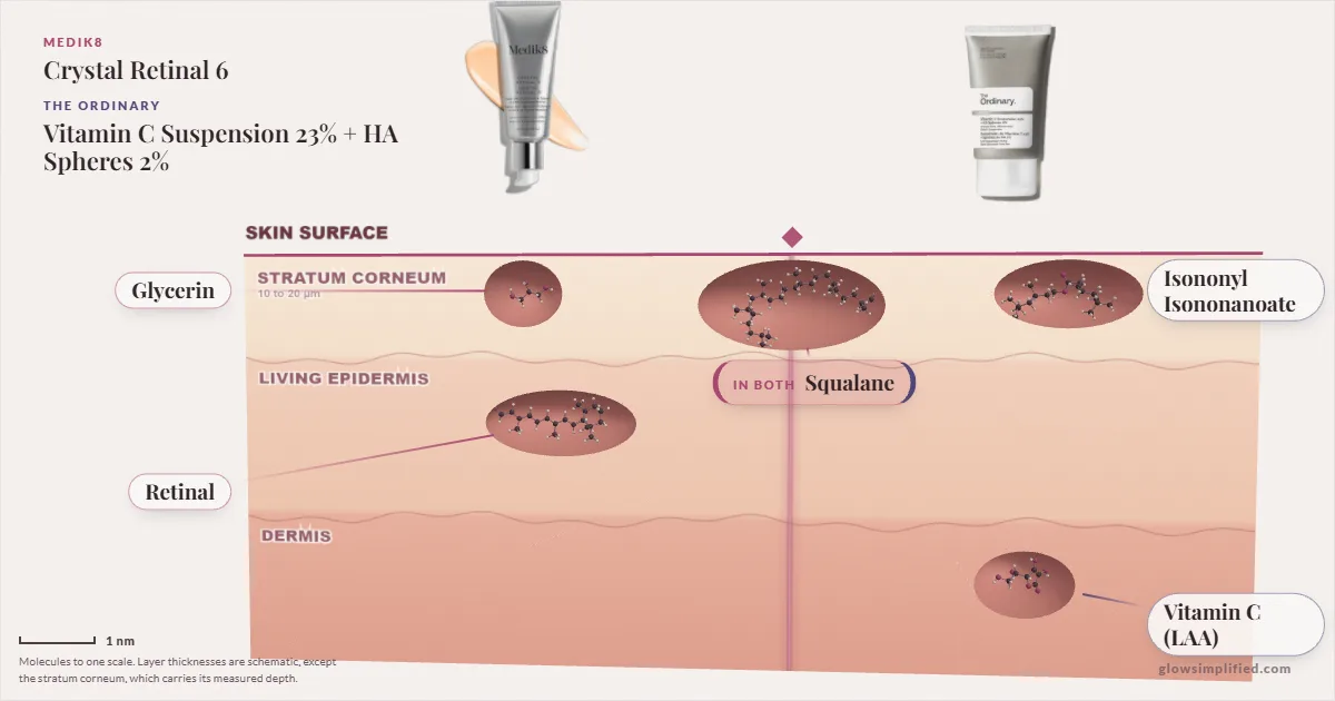 Medik8 Crystal Retinal 6 and The Ordinary Vitamin C Suspension 23% + HA Spheres 2%: their molecules drawn in one cross-section of skin, shared ingredients on the seam