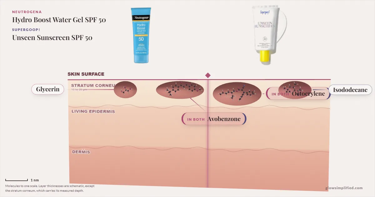 Neutrogena Hydro Boost Water Gel SPF 50 and Supergoop! Unseen Sunscreen SPF 50: their molecules drawn in one cross-section of skin, shared ingredients on the seam