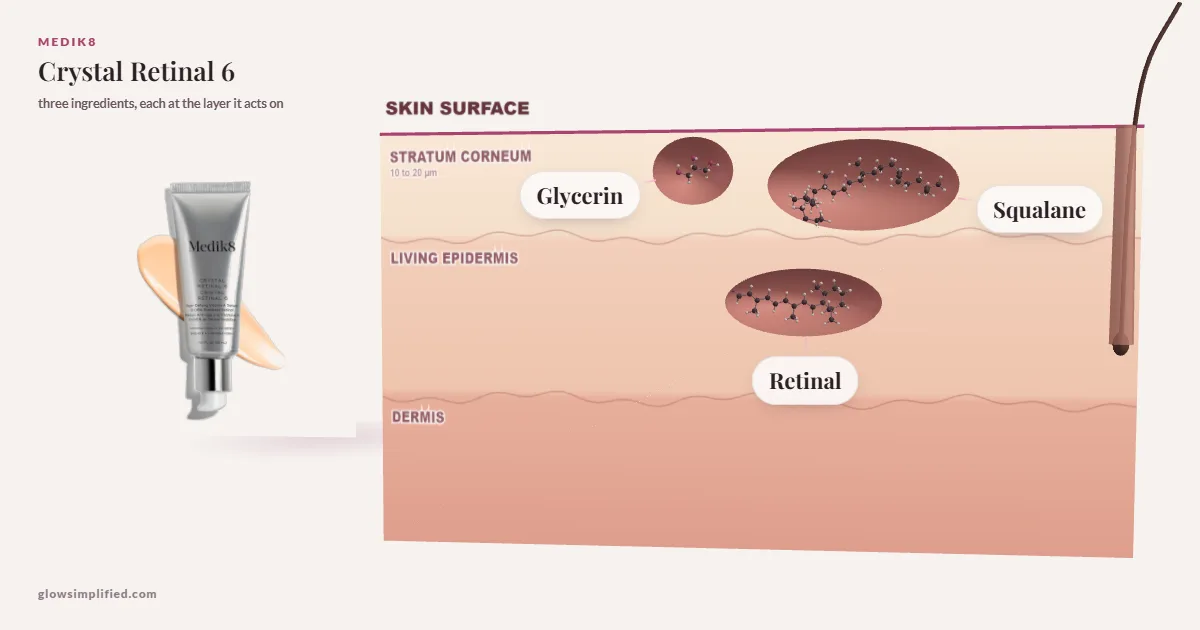 Medik8 Crystal Retinal 6: Glycerin, Squalane, Retinal drawn in a cross-section of skin, each at the layer it acts on