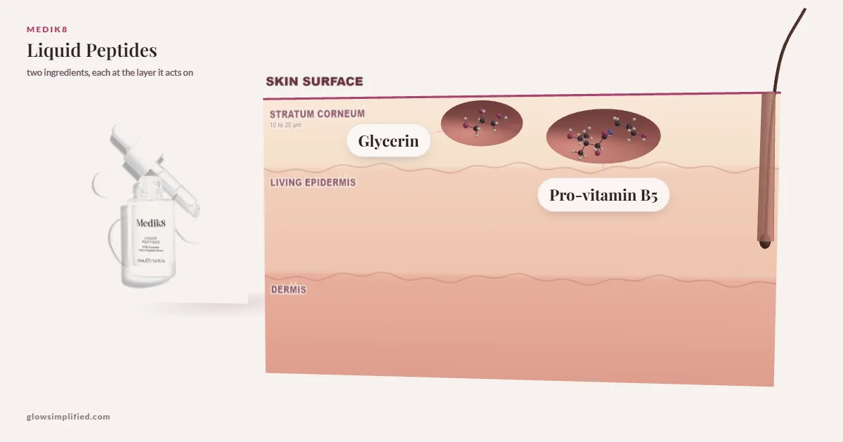 Medik8 Liquid Peptides: Glycerin, Pro-vitamin B5 drawn in a cross-section of skin, each at the layer it acts on