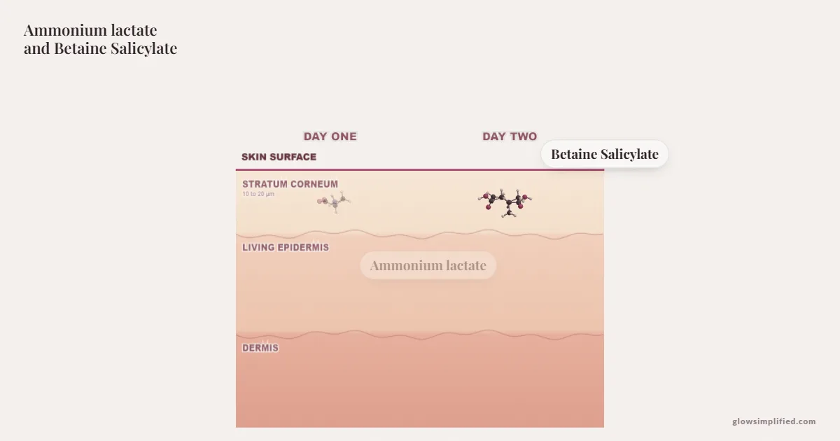 Ammonium lactate and Betaine Salicylate meeting on a cross-section of skin