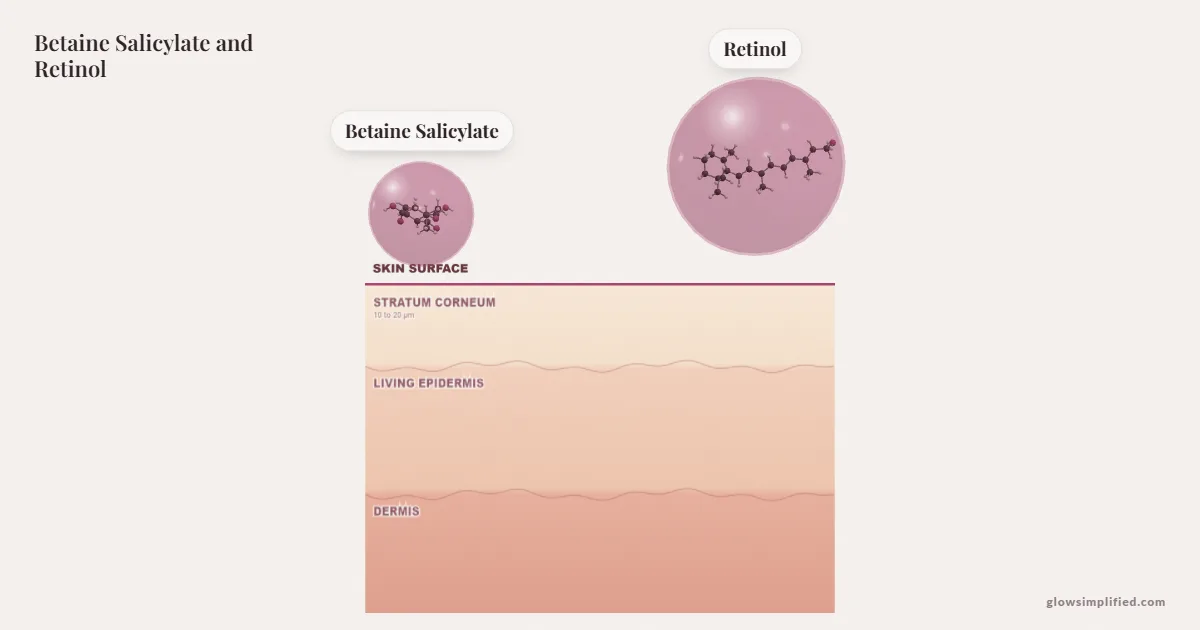 Betaine Salicylate and Retinol meeting on a cross-section of skin