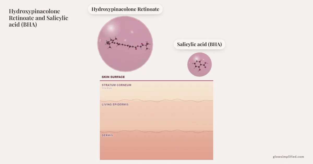 Hydroxypinacolone Retinoate and Salicylic acid (BHA) meeting on a cross-section of skin