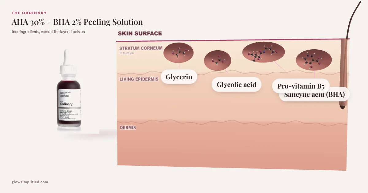 The Ordinary AHA 30% + BHA 2% Peeling Solution: Glycerin, Glycolic acid, Pro-vitamin B5, Salicylic acid (BHA) drawn in a cross-section of skin, each at the layer it acts on